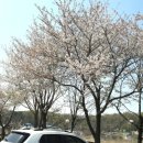 시골집오리농원 이미지