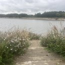 목현농장 이미지