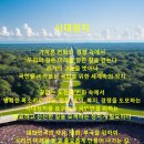 비자잡코리아(VisaJobKorea) 이미지