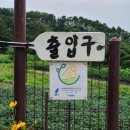 The145 이미지