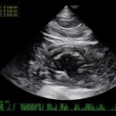 상암 진 동물의료센터 이미지