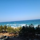 여백이있는날 이미지