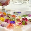 젤리통통 이미지