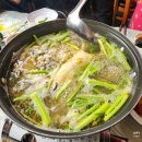 고흥자연산무한리필회 고흥회오마카세 갈릴리횟집 솔직후기!! (회종류, 가격, 예약방법)