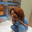 지오동물병원 이미지