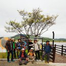 낙동강생태문화탐방로 이미지