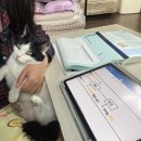 박정희로-11 | 한국사능력검정시험 77회 노베이스 1급 후기