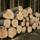 원목으로만드는나만의인테리어소품 이미지