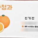 한라청과 이미지