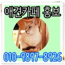 수도광고