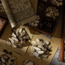 화남한의원 이미지