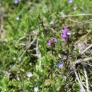 이상봉농장 이미지