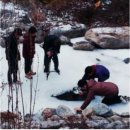 복동아리영농조합법인 이미지