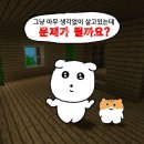 태은농장 | 낭만과 상심은 청춘의 반증