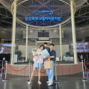 삼성화재 모빌리티 뮤지엄 이미지