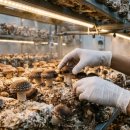 북1리농장 이미지