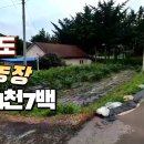 강화군 내가면 주말농장 급매 4천7백만원 이미지