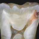 동행치과의원 이미지