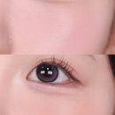 투마이퍼피 이미지