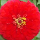 춘천호반체육관 이미지