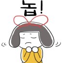 에스카워시 - 용인시 기흥구 구성로 357 | 에스카워시