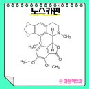 두벤