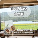 도란도란 생각 나누기 | 파주 신상 카페 추천, 통창뷰 풍경 맛집 서울 근교 드라이브 카페 소경계 방문 후기