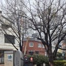 괴정 할매칼국수 이미지