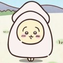 오션스카이블루 | 선물 겸 수영템 소개(빠밤)