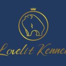 러블릿캔넬 이미지