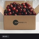 [토스쇼핑] 썬리지 워싱턴 생체리, 대과, 500g, 1박스/산지로드 소갈비살, 1kg, 1개