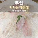 부산지사동우체국 | 지사동 횟집 맛집 해운대 물회 모듬회 맛집 낮술 즐긴 후기