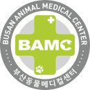부산동물메디컬센터 이미지