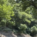 토배기산장 이미지