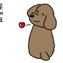 마리애견미용실 이미지