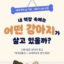 MBTI에 이은 RBTI 후기 (밖에선 차가운 인티제, 집에선 '이불 덮은 시츄'??)(광고 아님 일상글임)