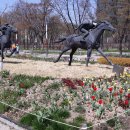 서울숲 2022년 4월8일 수선화, 튤립, 벚꽃, 야생화 만발 이미지
