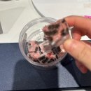 진우숯불갈비 | 소소한 행복을 곁들인 평범한 일상✨