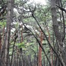 하 섬(변산반도)