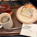 11545-02-08-71 | 육아일기 생후 71일 스타필드 고양 외출👶🏻｜배앓이 다음 날, 똥도 시원하게 싸고 엄마도 숨통 트인 하루