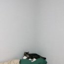 항구 pc방 | 230909-10 / 미영이네, 제주서채, 김녕리아