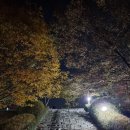 명륜진사갈비오전점 이미지
