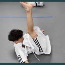 합기도 호랑이들 이미지