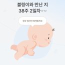 38-D | [임신]38w1d/38주 첫 내진후기