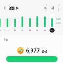 율하체육공원 잔디광장 이미지