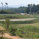 [국도77] 태안군 진산리