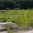 수원-고색-504 이미지