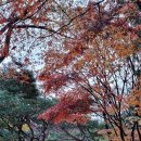 서울시립대학교 교육대학원 이미지