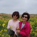 그대그리고나 이미지