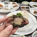 디스텔라 | [식당/통영] 통영 식문화 다찌 한번 잡숴봐 "울산다찌" 후기